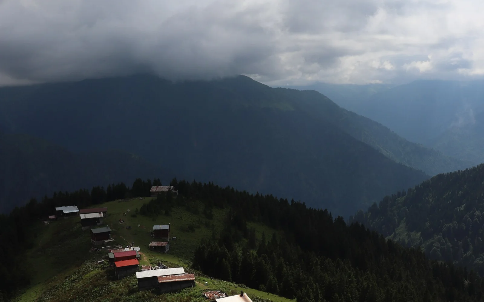 Pokut Yaylası